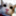 a_dach