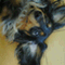 addie_w