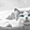 ユーザー
