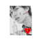 akanishi_ryo_sosuke