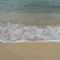 alohastudy