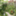 amazing_garden