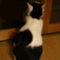 あむゆーず