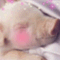 aqua_kyo721_aqua