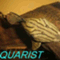 AQUARIST