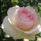 aromasoap