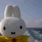 berry_miffy