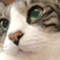 blackcatxiii