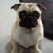 blog8789