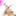 bluenet_web