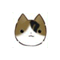 猫と重金属