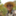 cambodia808