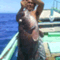 capblog03