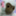 captiao_0126