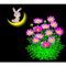 chao818