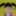 chickenheart_mn