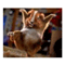chirin_02