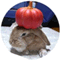 chittan_web