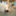 cho_kobito