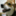 choco_2628