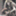 claphatta