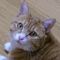 �ޥ륯��