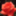colorsreader