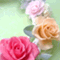 couleur_riche
