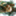 cpiblog00437
