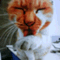 curiousmoggie3