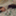 d_toshi04