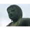 daibutu1229