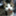 daikichi_227