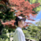 daisukejapan1����