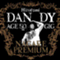 dandy_u