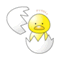 design00