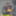 dob_hp
