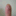 dog_dog_dog