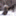 dog_of_akita