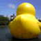 door5296