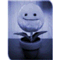 doradora_sp