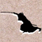 eiga_ichigoichie