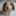 eiichi08280012001