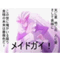 erogesongs