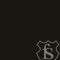 filmstock