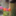 flowerseeds