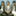 fungo_wakana