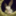 g_nori_0920