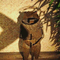 gaou_from2004