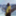 garden_freeskiing